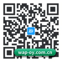 系统版 iOS 二维码